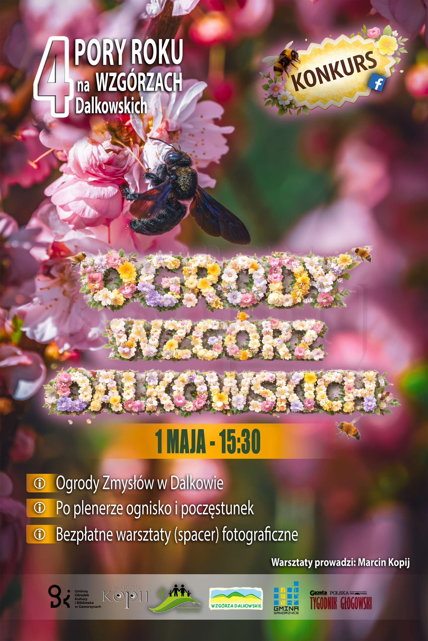 warsztaty dalków