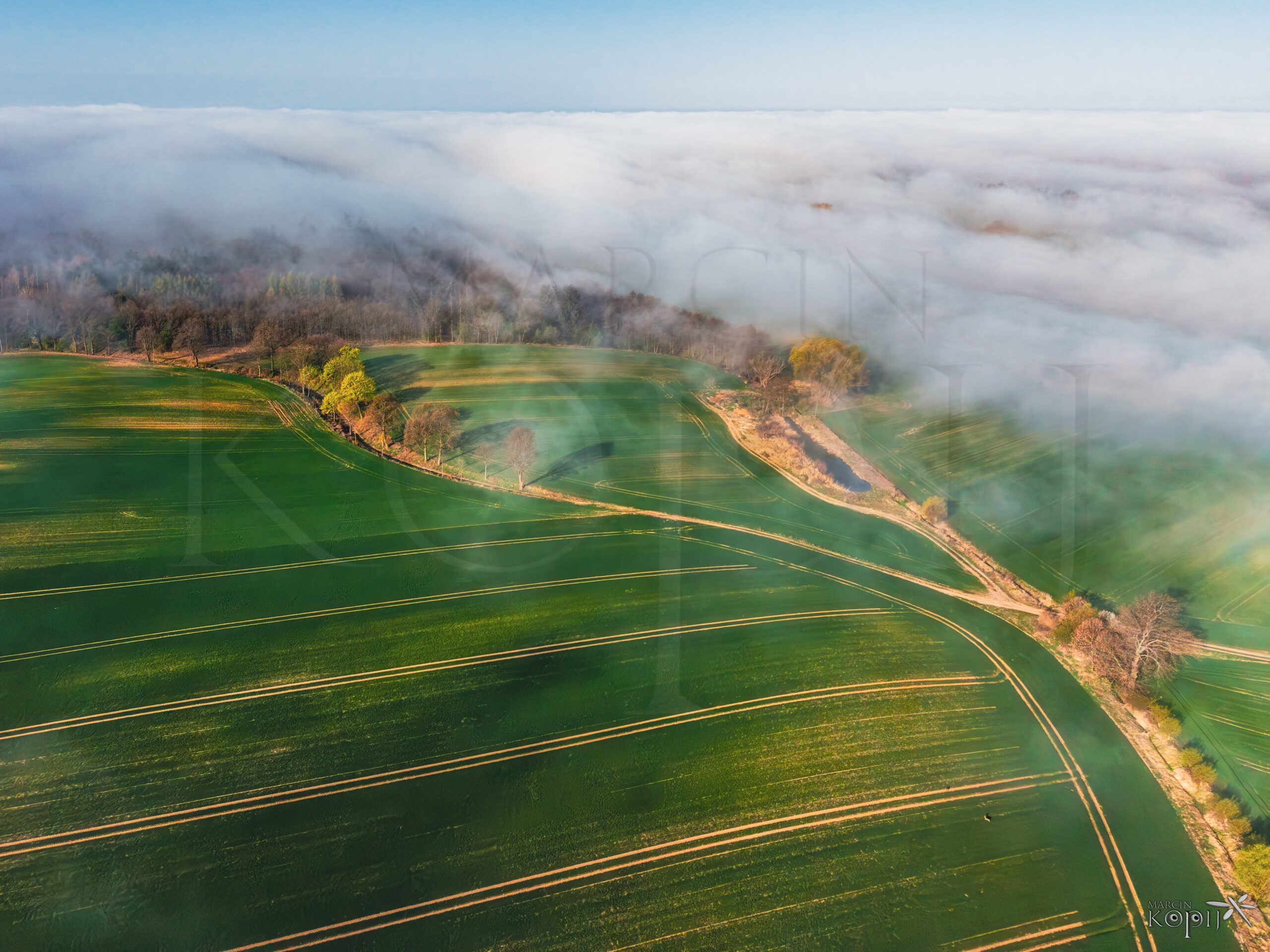 wzgórza dalkowskie z drona