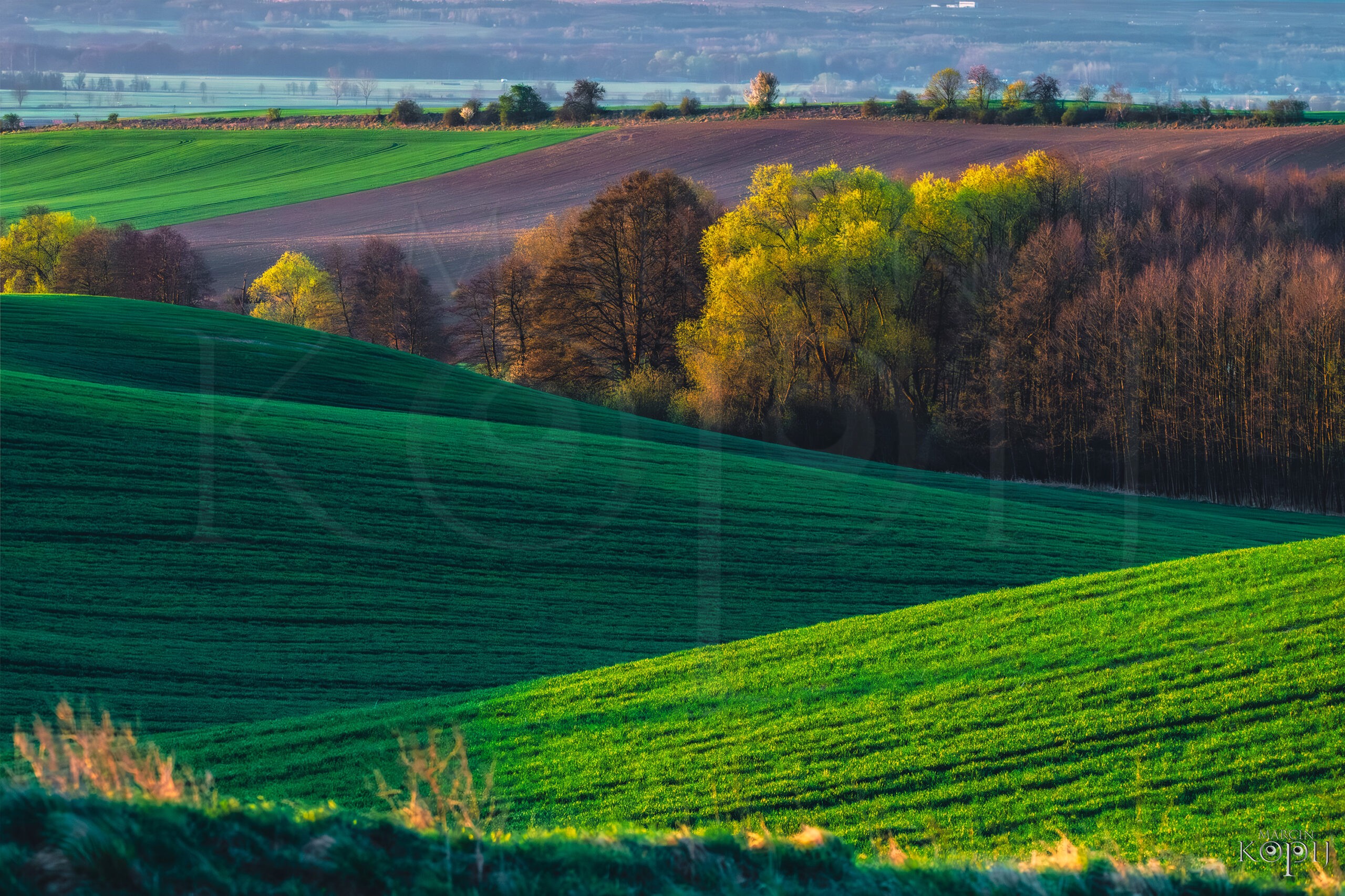 Wiosenne Wzgórza Dalkowskie w okolicy Szczyglic, woj. dolnośląskie