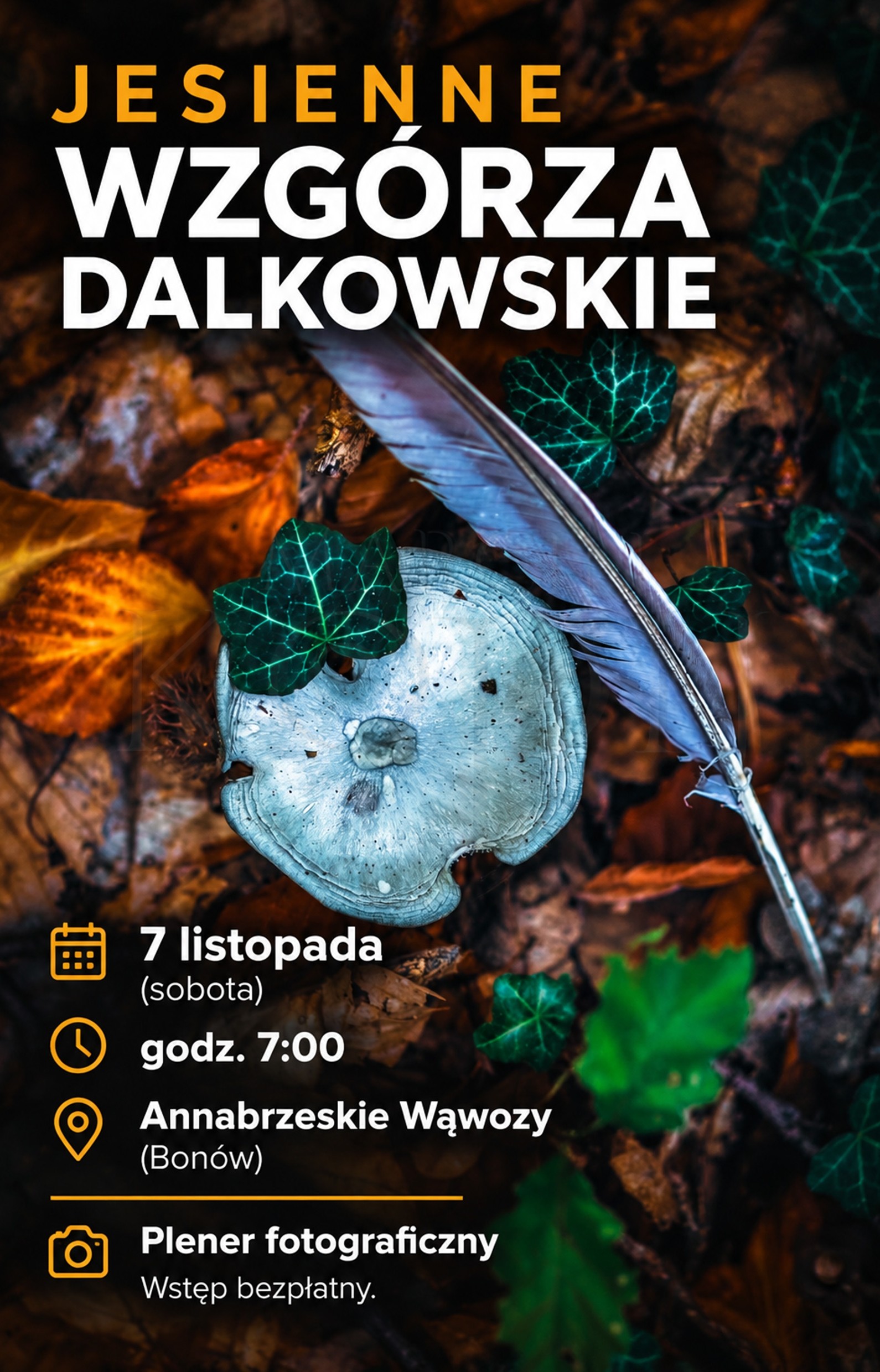 Jesienne Wzgórza Dalkowskie